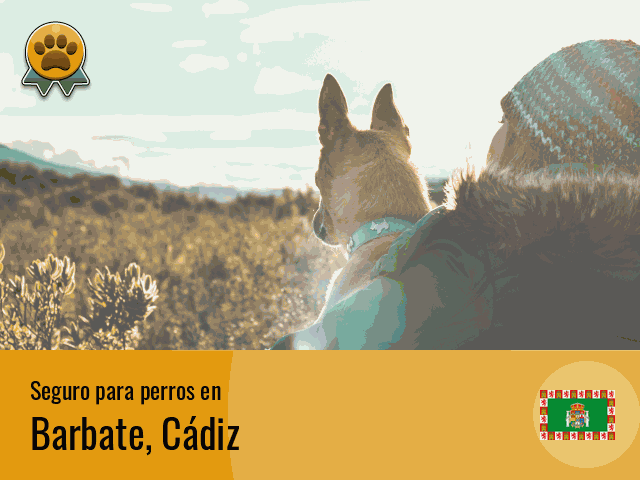 Seguro perros Barbate