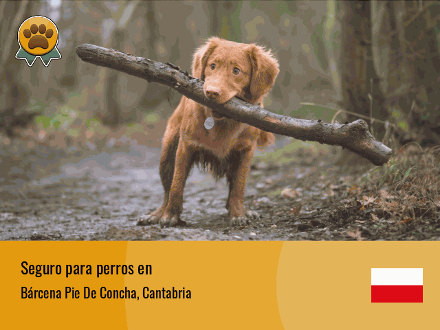 Seguro perros Bárcena Pie De Concha