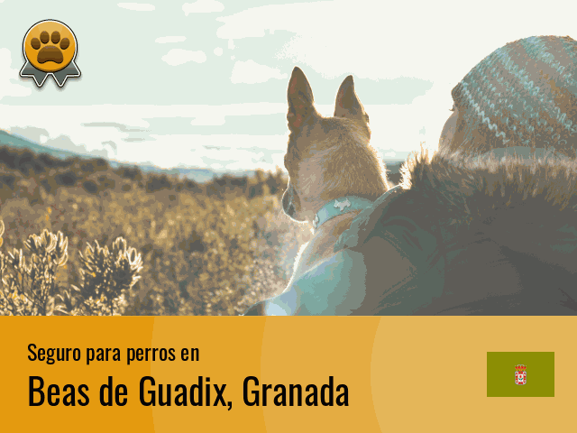 Seguro perros Beas de Guadix