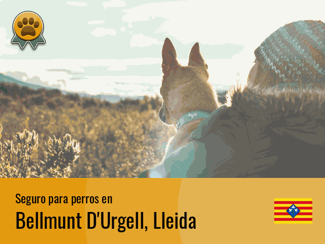 Seguro perros Bellmunt D'Urgell