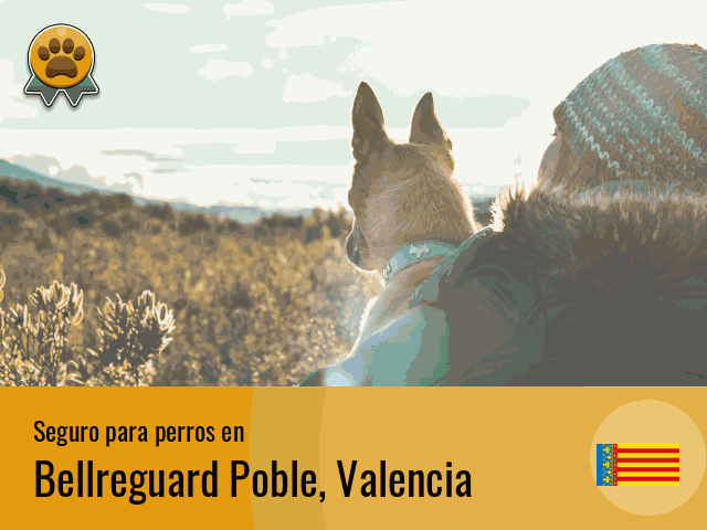 Seguro perros Bellreguard Poble