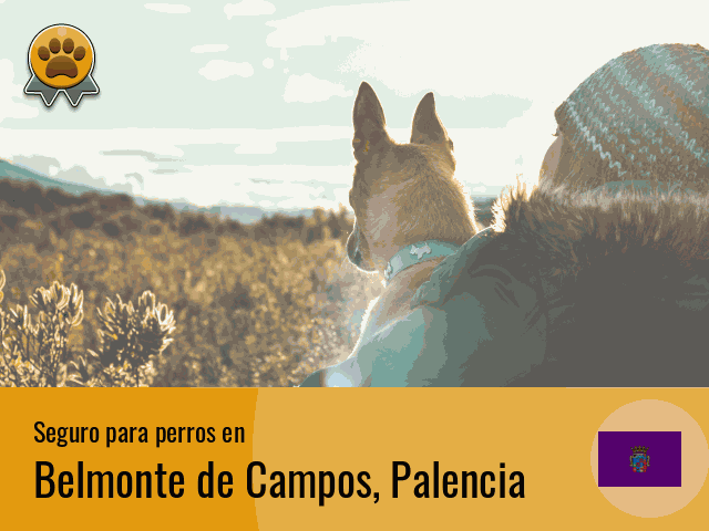 Seguro perros Belmonte de Campos