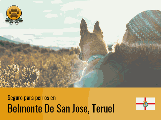 Seguro perros Belmonte De San Jose