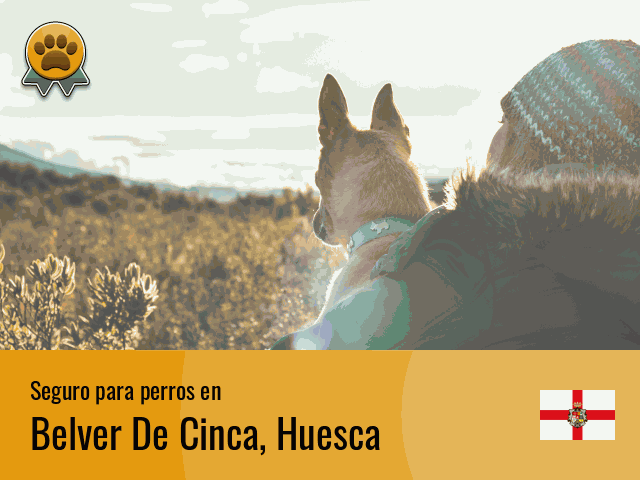 Seguro perros Belver De Cinca