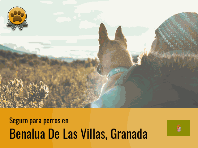 Seguro perros Benalua De Las Villas