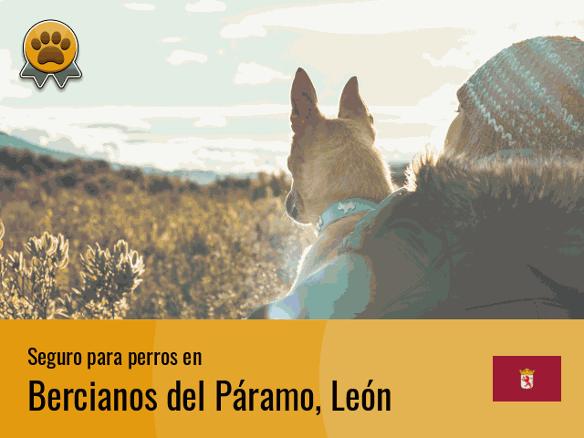 Seguro perros Bercianos del Páramo