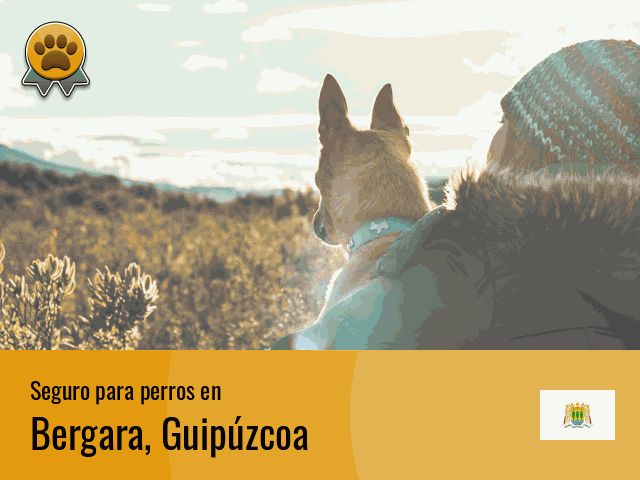 Seguro perros Bergara