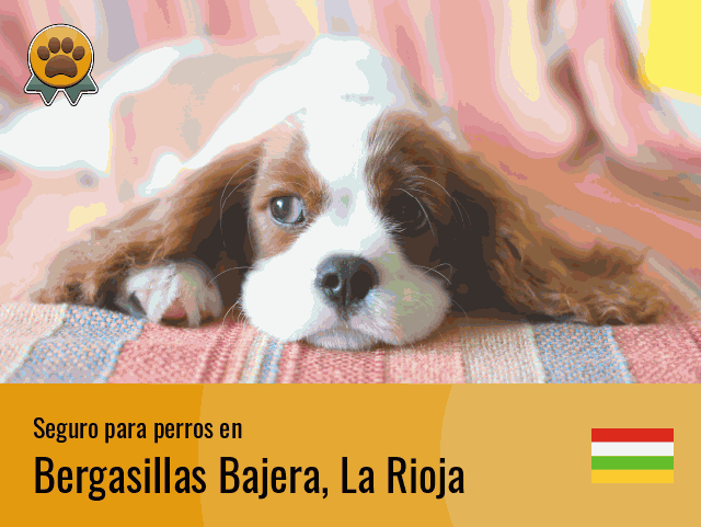 Seguro perros Bergasillas Bajera