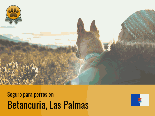 Seguro perros Betancuria