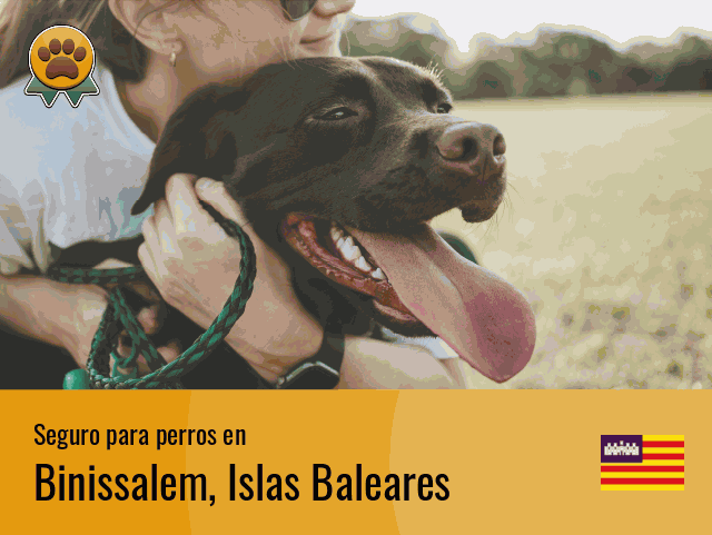 Seguro perros Binissalem