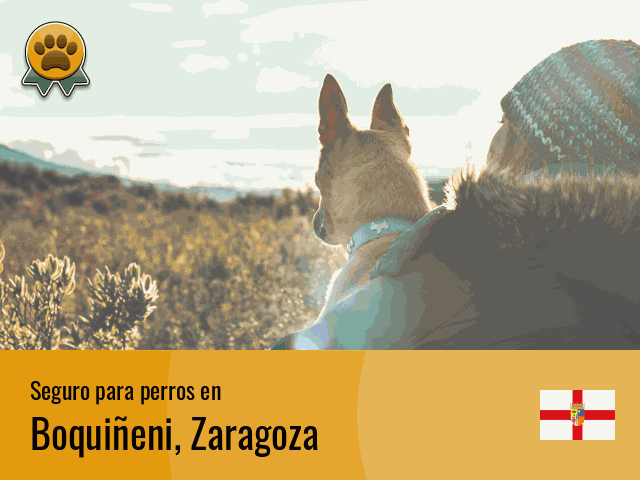 Seguro perros Boquiñeni