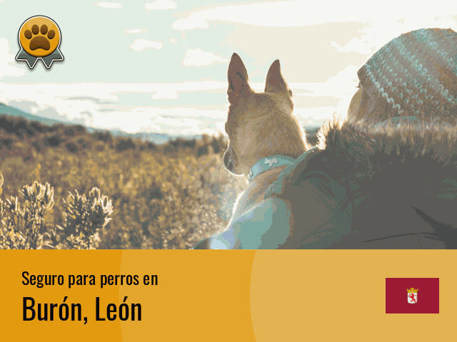 Seguro perros Burón