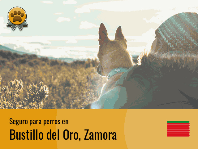 Seguro perros Bustillo del Oro