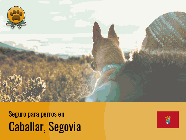 Seguro perros Caballar