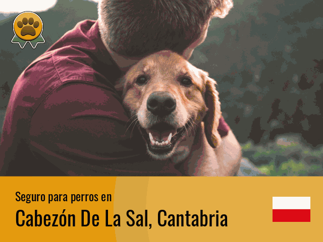 Seguro perros Cabezón De La Sal