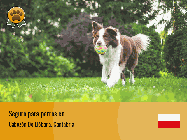 Seguro perros Cabezón De Liébana