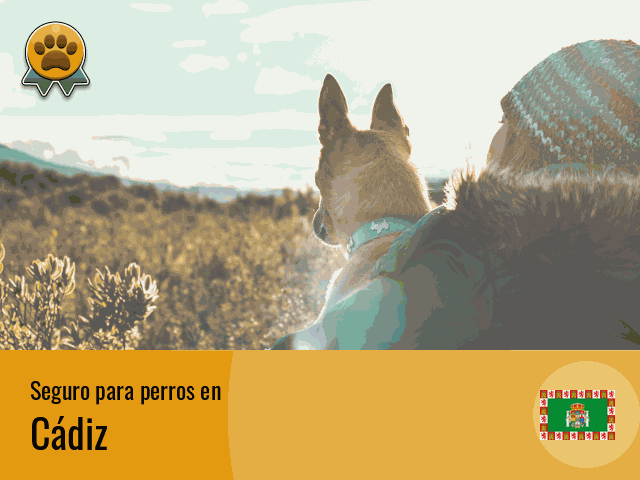 Seguro perros Cádiz