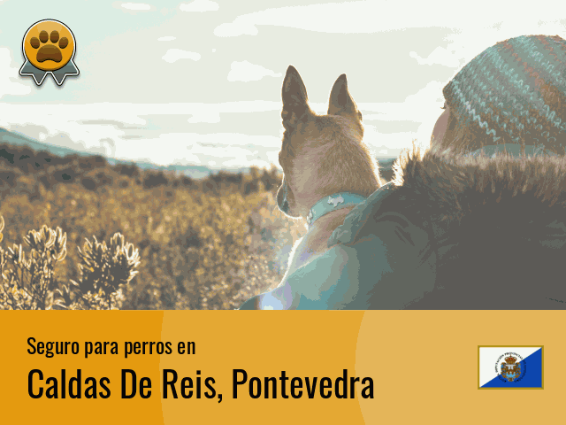 Seguro perros Caldas De Reis