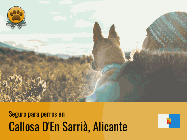 Seguro perros Callosa D'En Sarrià