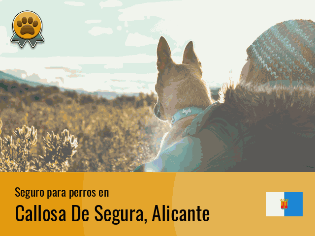 Seguro perros Callosa De Segura