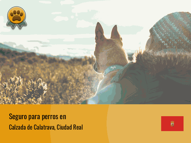 Seguro perros Calzada de Calatrava