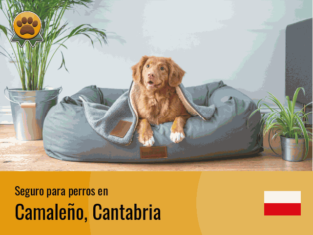 Seguro perros Camaleño