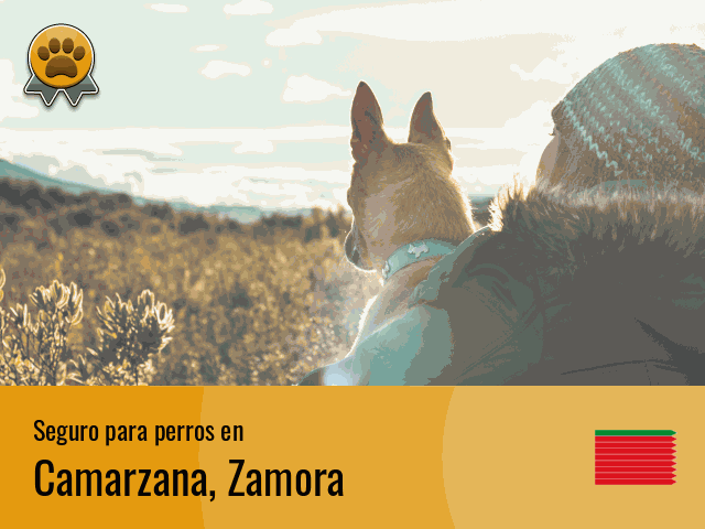 Seguro perros Camarzana