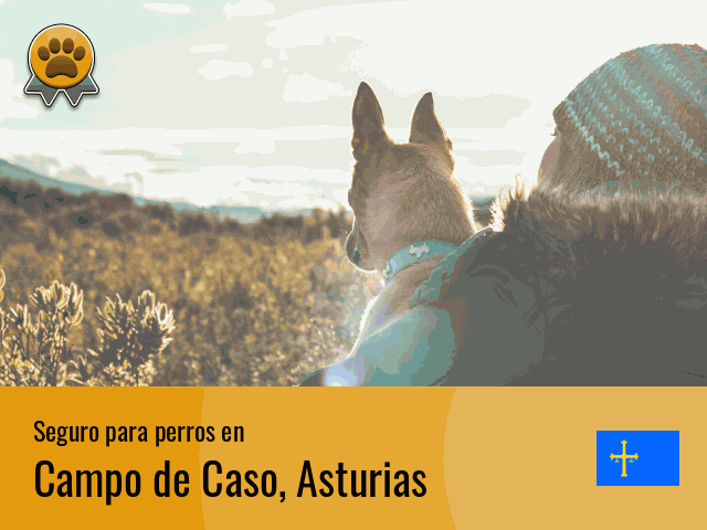 Seguro perros Campo de Caso