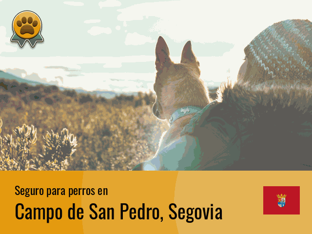 Seguro perros Campo de San Pedro