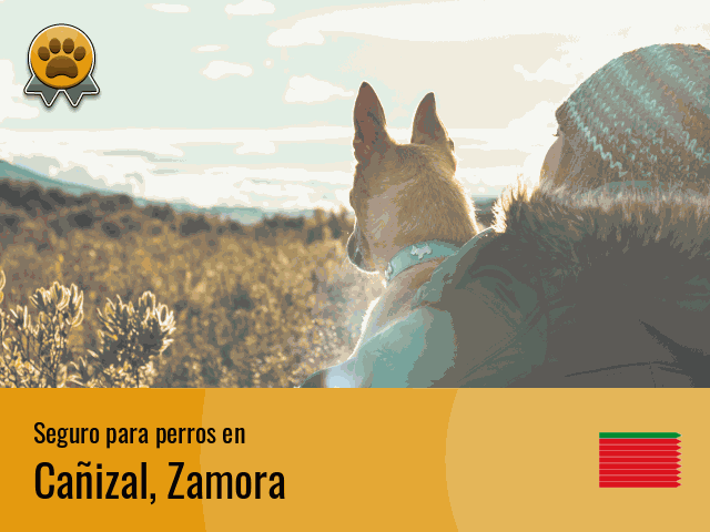 Seguro perros Cañizal