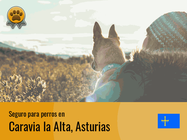 Seguro perros Caravia la Alta