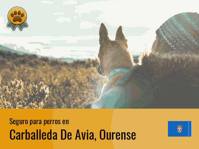 Seguro perros Carballeda De Avia