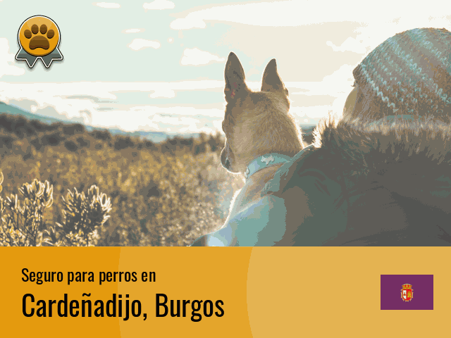 Seguro perros Cardeñadijo