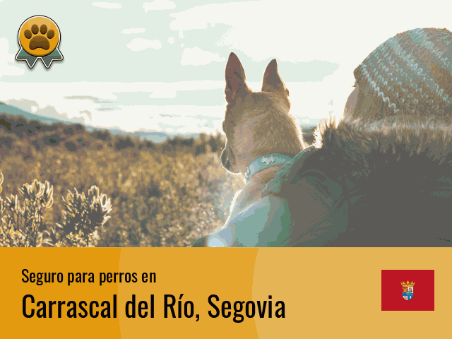 Seguro perros Carrascal del Río