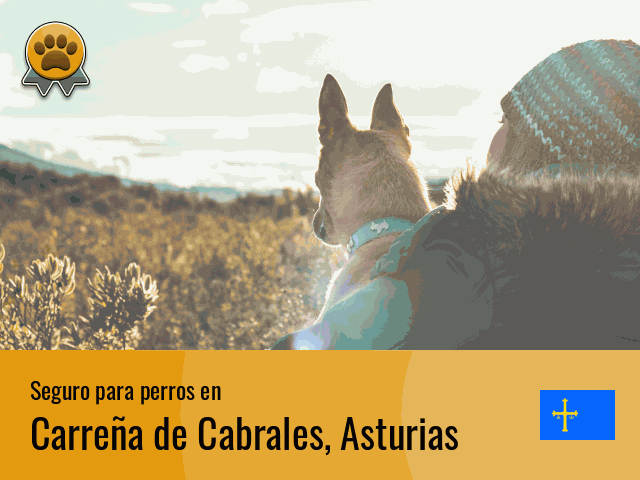 Seguro perros Carreña de Cabrales