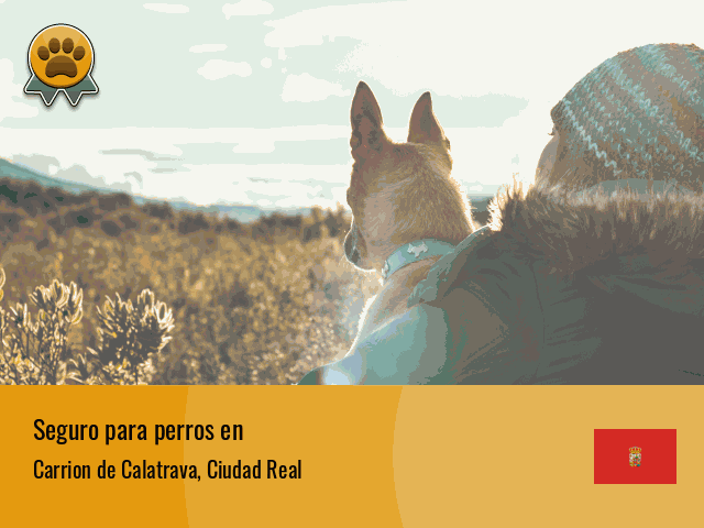 Seguro perros Carrion de Calatrava