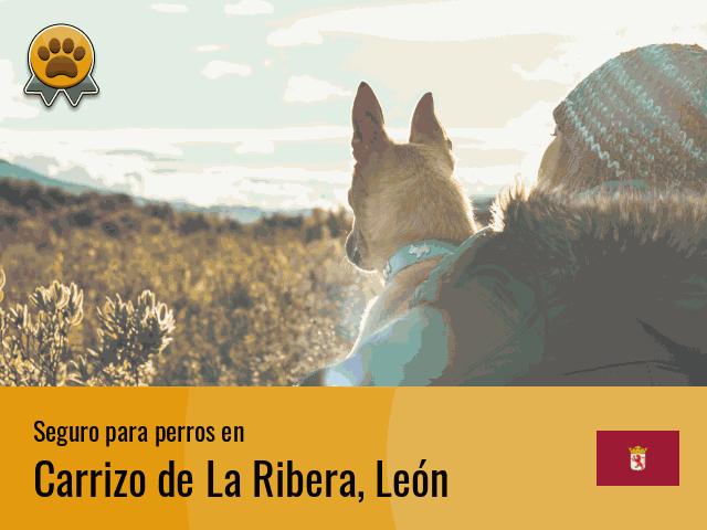 Seguro perros Carrizo de La Ribera