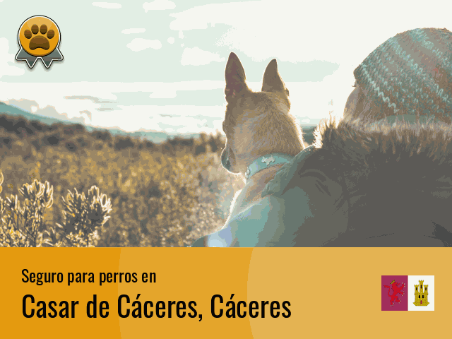 Seguro perros Casar de Cáceres