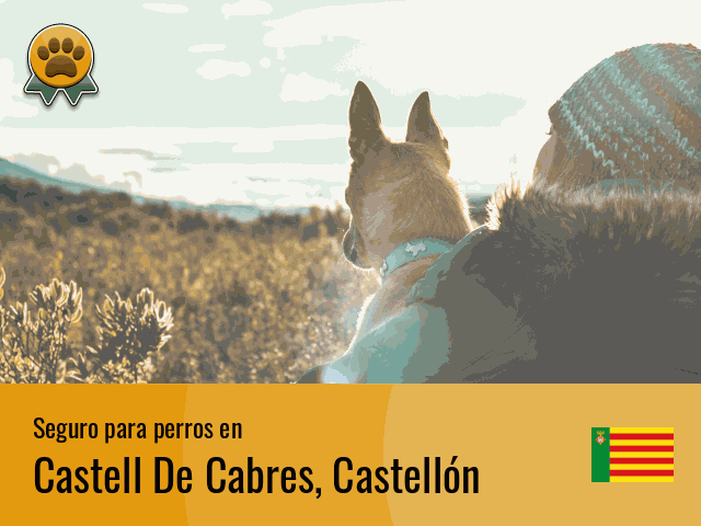 Seguro perros Castell De Cabres