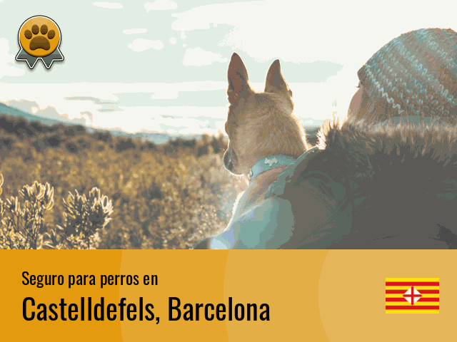 Seguro perros Castelldefels