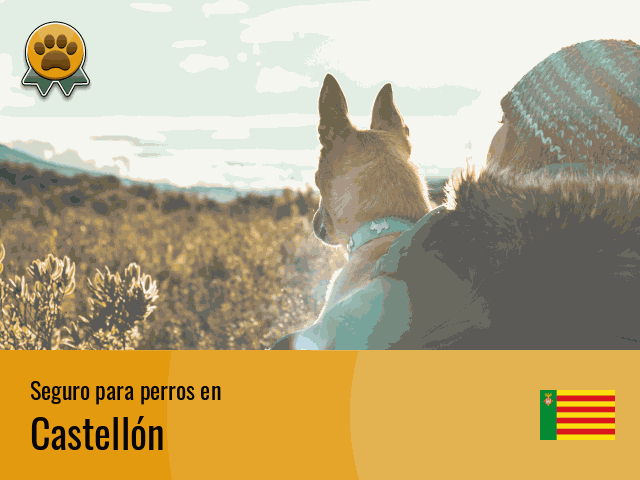 Seguro perros Castellón