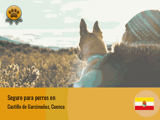 Seguro perros Castillo de Garcimuñoz
