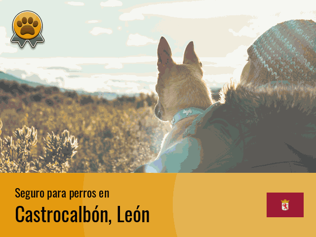 Seguro perros Castrocalbón