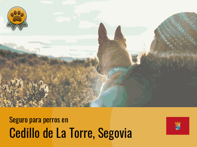 Seguro perros Cedillo de La Torre