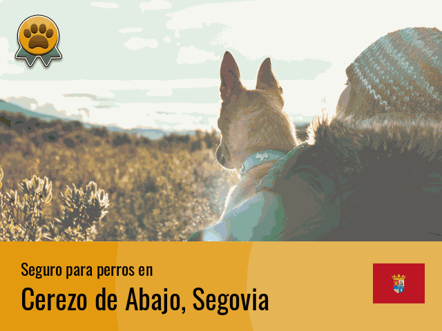 Seguro perros Cerezo de Abajo