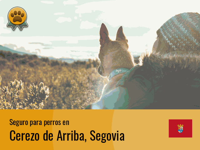 Seguro perros Cerezo de Arriba