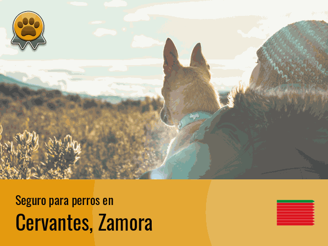 Seguro perros Cervantes