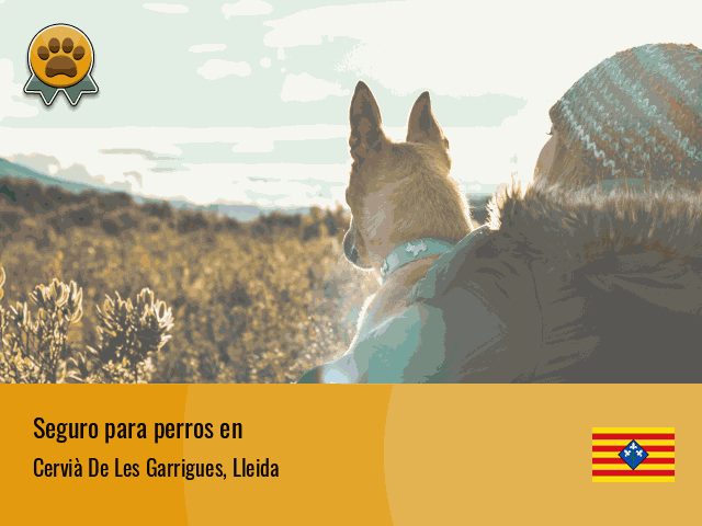 Seguro perros Cervià De Les Garrigues