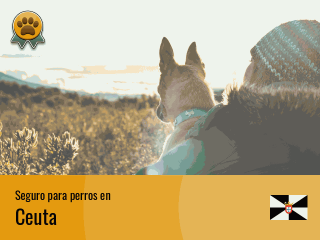 Seguro perros Ceuta