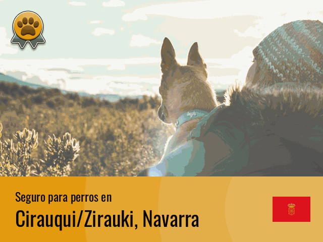 Seguro perros Cirauqui/Zirauki